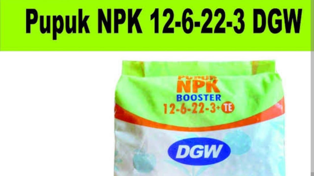 Mampu Tingkatkan Hasil Panen, Ini Keunggulan Pupuk NPK BOOSTER DGW 12-6-22-3+TE