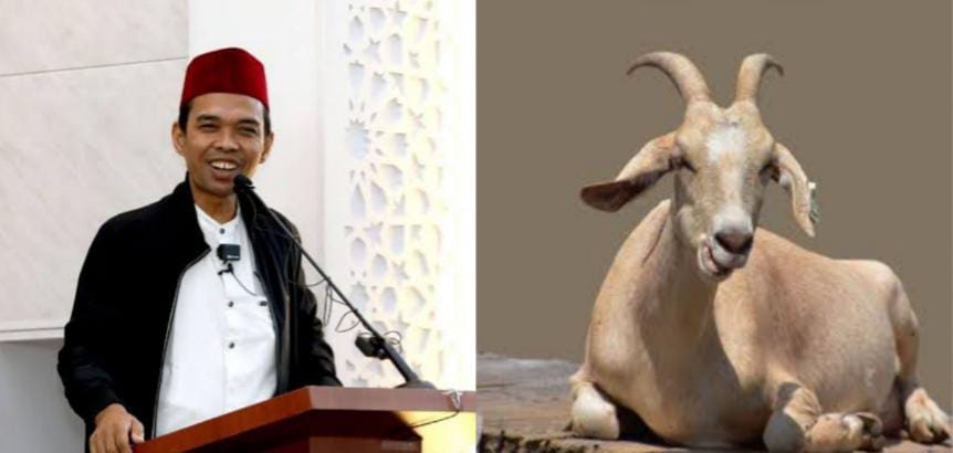 Mana yang Didahulukan, Kurban atau Aqiqah Anak? Ini Kata Ustaz Abdul Somad