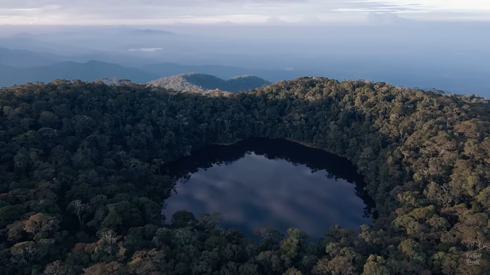Gunung Patah Bengkulu, Memiliki 3 Puncak, Habitatnya Flora dan Fauna Khas Sumatera