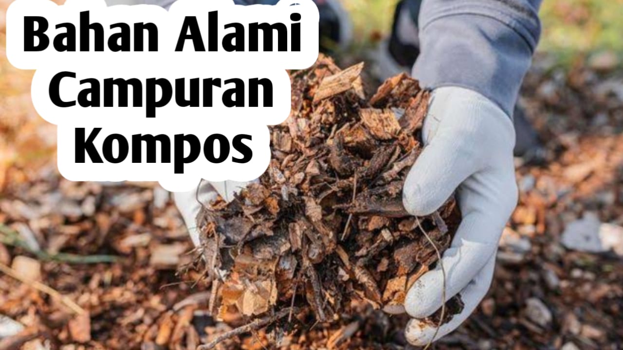 Bahan Alami Campuran Pupuk Kompos