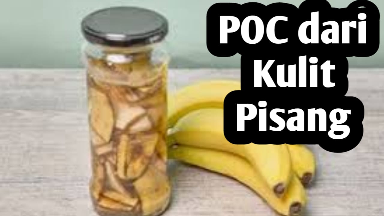 Air Kulit Pisang Bisa Membantu Menyuburkan Tanaman, Ini Cara Membuatnya