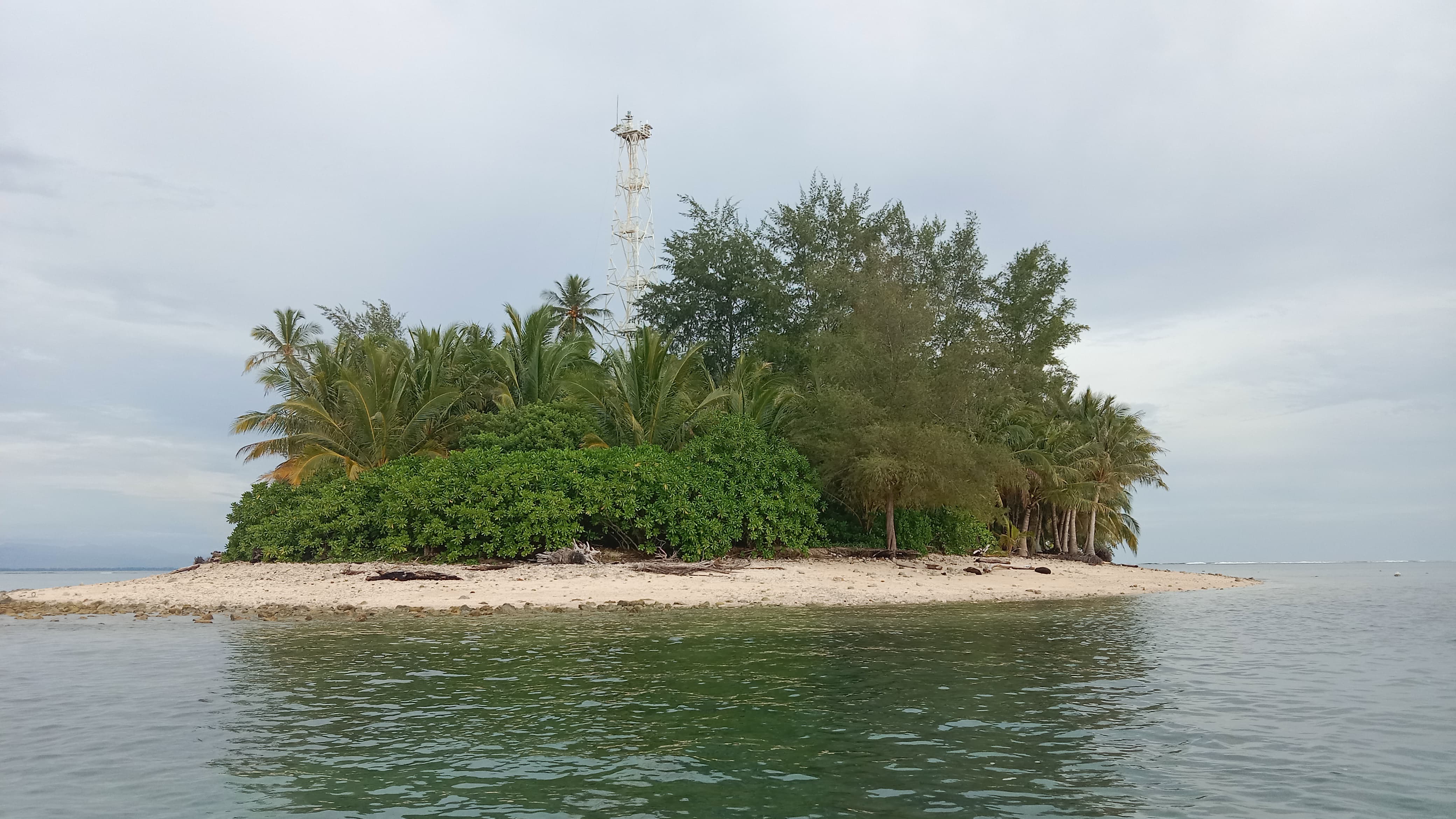 Pesona Pulau Tikus Bengkulu Jadi Destinasi Tersembunyi di Bengkulu