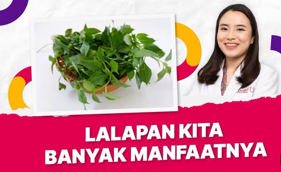 Kemangi Bukan Sekadar Lalapan, Tapi Punya Banyak Manfaat untuk Kesehatan Tubuh