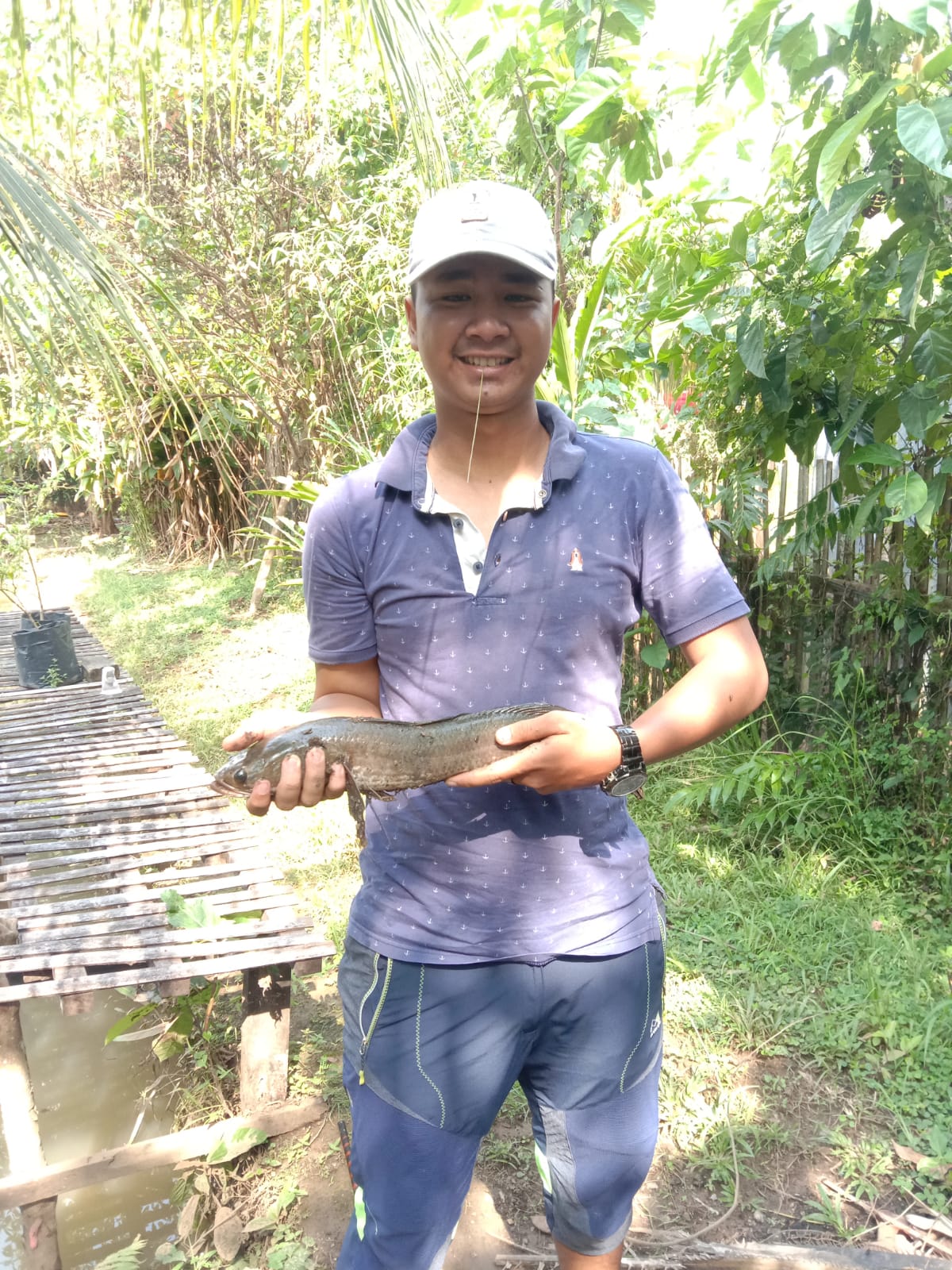 Cara Menemukan Spot Memancing Ikan Gabus