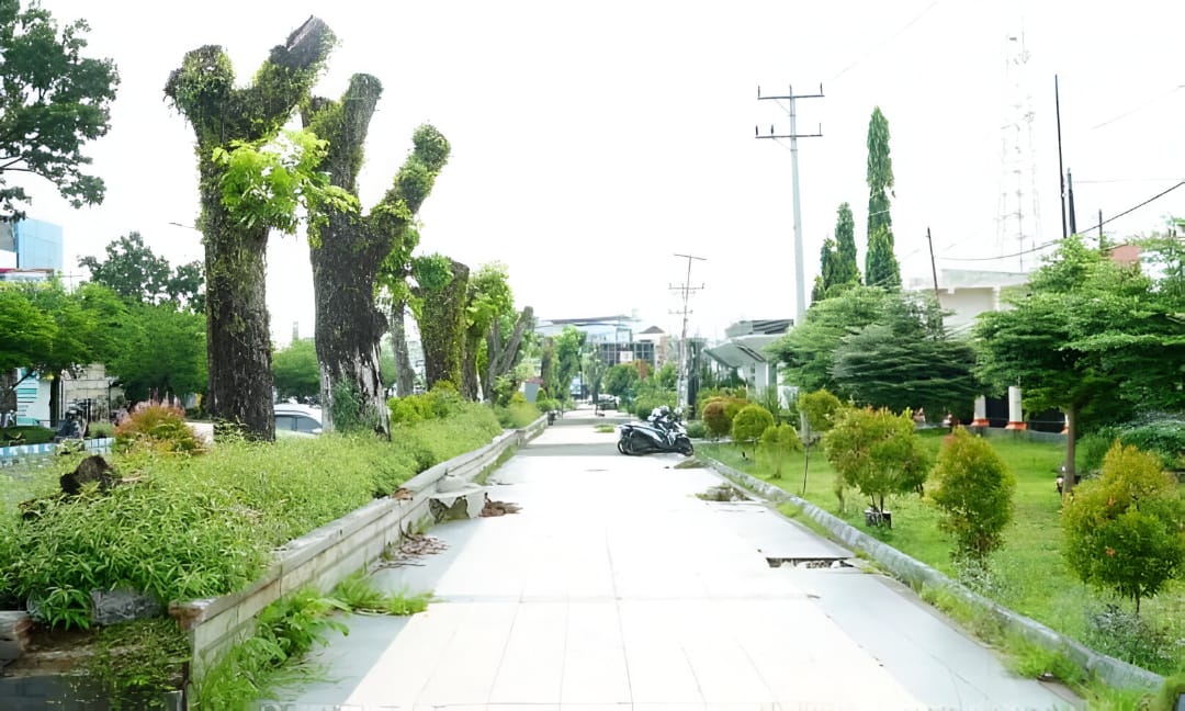 Penataan Kawasan Padang Jati Ditargetkan Selesai November 2025