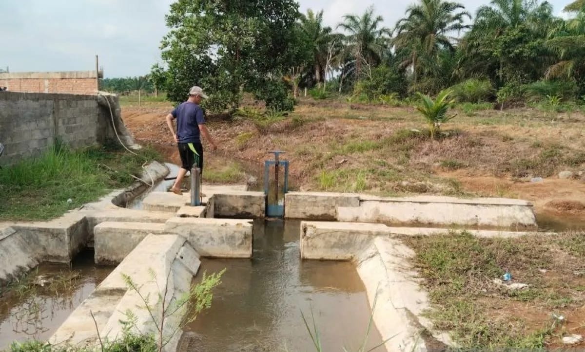 Pemkab Mukomuko Usulkan Pembangunan Irigasi di 20 Titik untuk Cegah Alih Fungsi Sawah Jadi Kebun Sawit