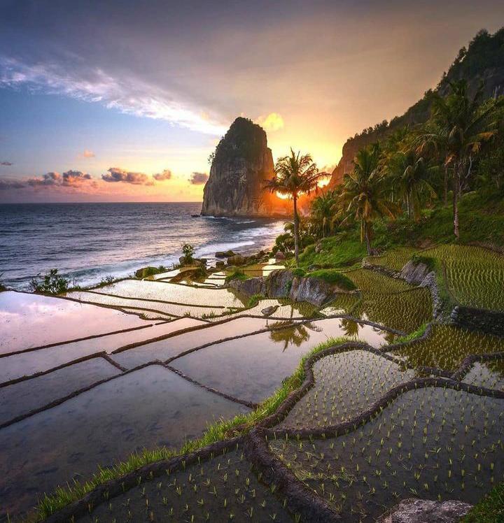 Viral! Pantai Pangasan Memilki Panorama Indah yang Berdampingan dengan Asrinya Persawahan