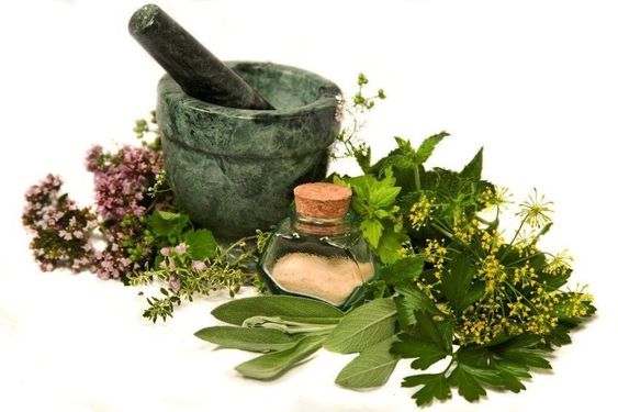 Malas Berkebun di Luar, Ini Dia 6 Pilihan Tanaman Herbal yang Cocok Ditanam Dalam Ruangan