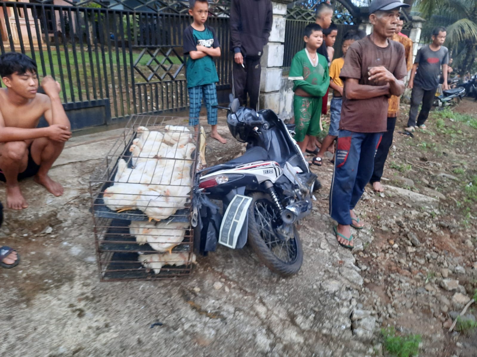 Hindari Pejalan Kaki, Pedagang Ayam Keliling Terjatuh dari Motor Lalu Meninggal Ditabrak Truk Batubara