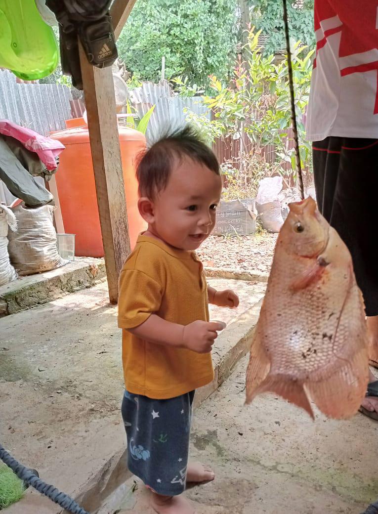 Umpan Memancing Ikan Gurame yang Dijamin Ampuh