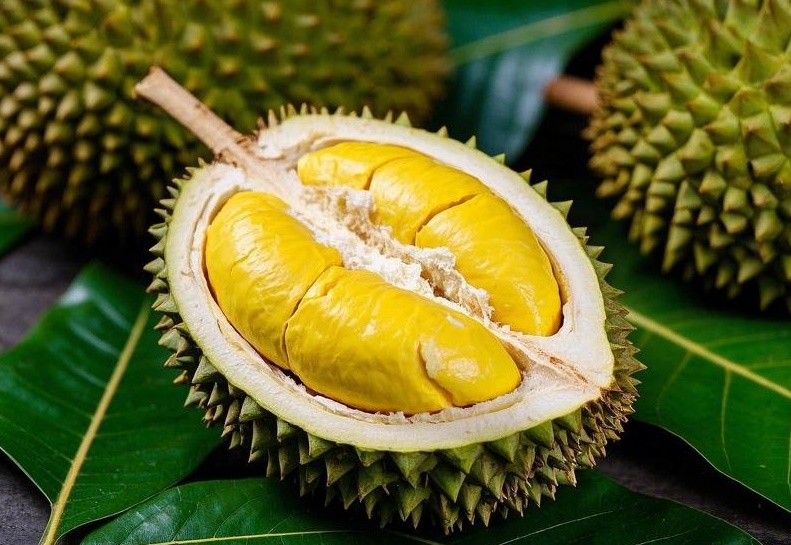 Ini Dia Cara Efektif Menghilangkan Bau Durian di Mulut dan di Tangan 