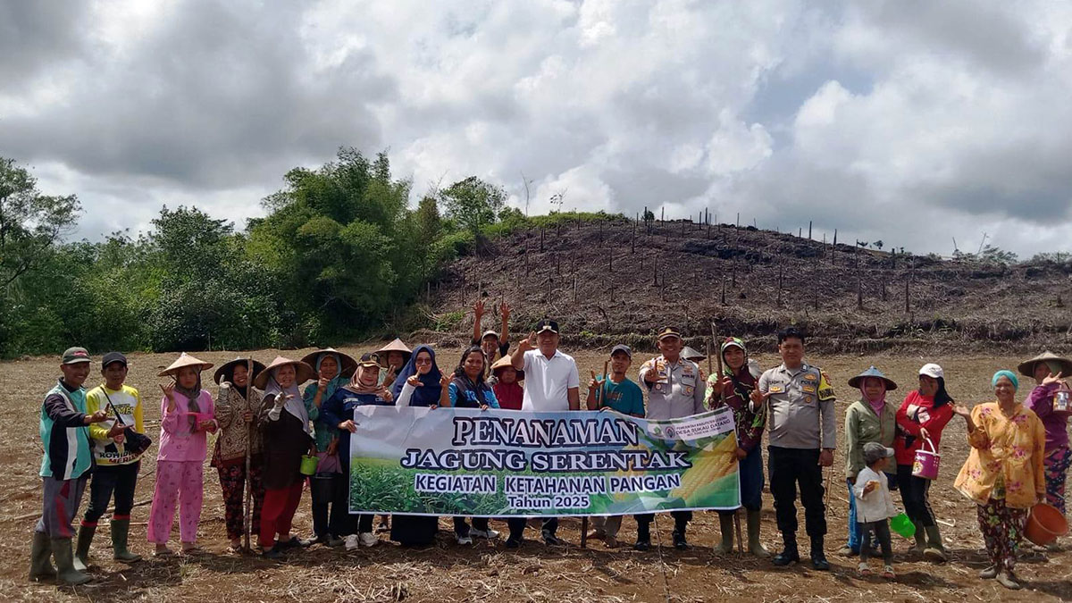 Desa Tanah Hitam Bengkulu Utara Sabet Juara I Lomba Jagung, Dapat Rp 1 Miliar