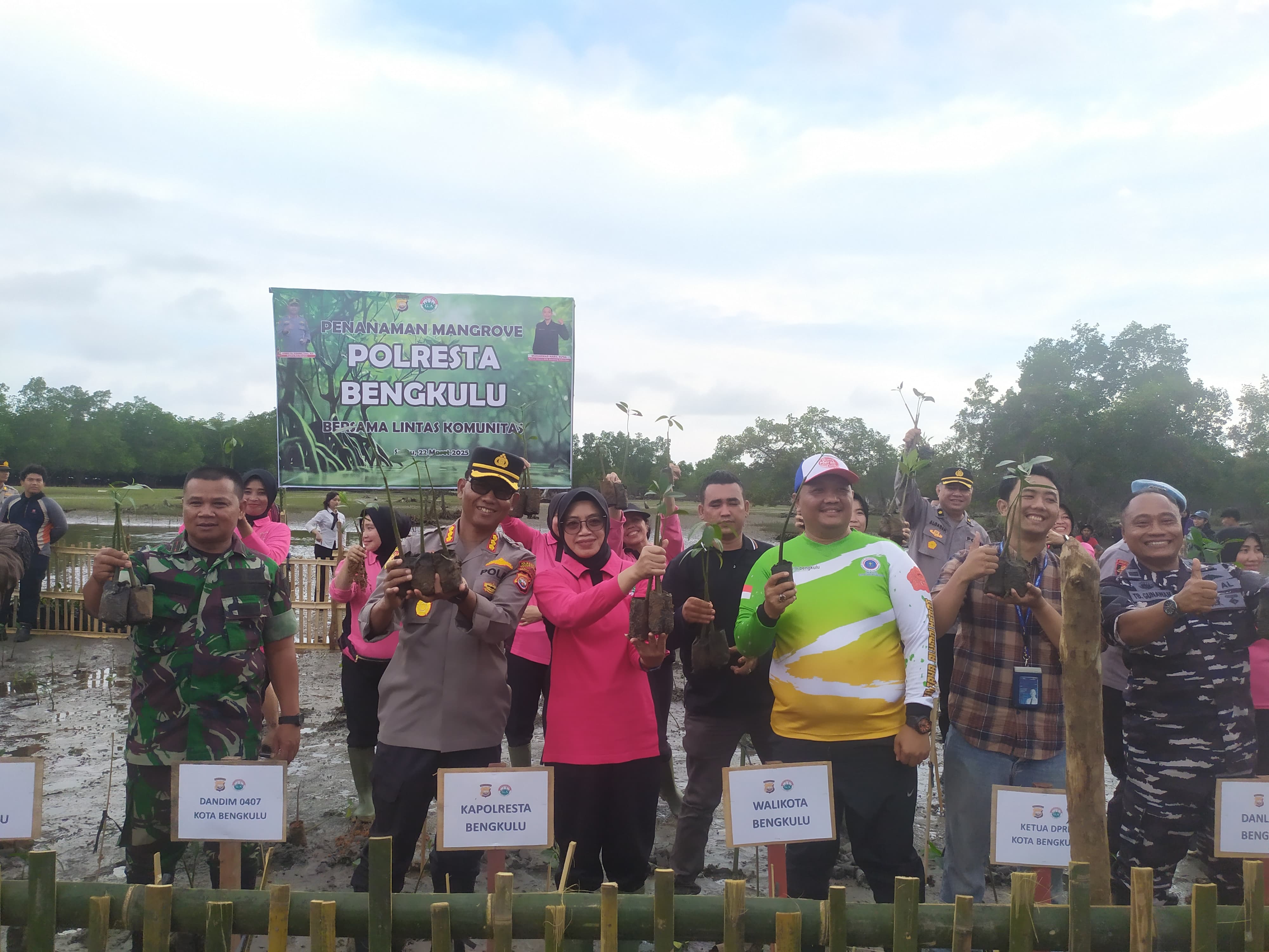 Lindungi Pesisir Pantai, Polresta Bengkulu Tanam 6.000 Bibit Mangrove 