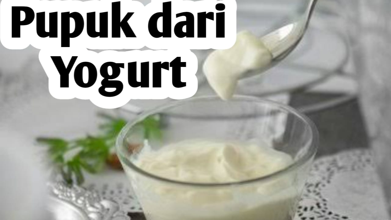 Manfaat Yogurt, Bisa Dijadikan Sebagai Pupuk Tanaman