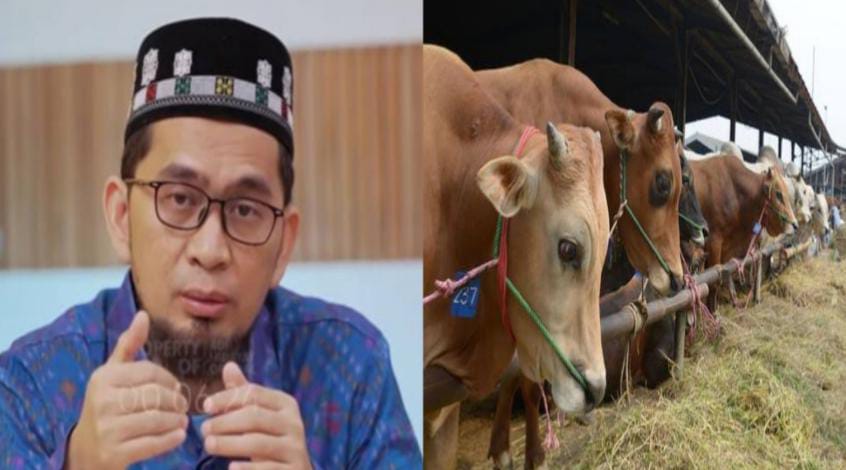 4 Jenis Hewan Kurban yang Ditolak Syariat, Salah Satunya Sering Ditemukan, Berikut Penjelasan Ustaz Adi Hidaya