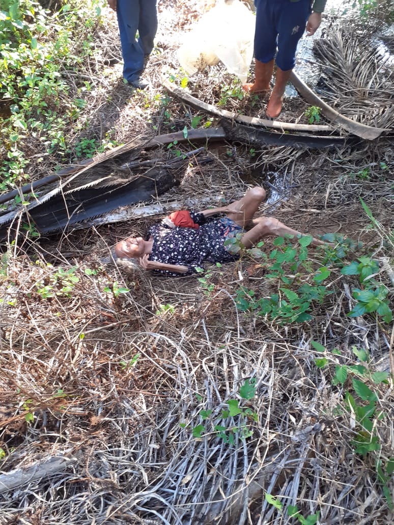 5 Hari Menghilang, Nenek Supinah Ditemukan Terbaring Lemah di Kebun Sawit 