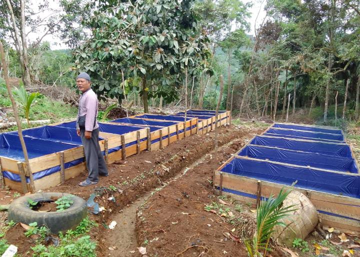 Dorong Peningkatan Ekonomi Warga, Desa Padang Siring Siapkan 20 Kolam Budidaya Belut
