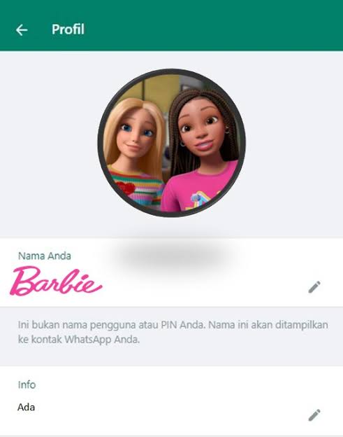 Nama Profil WhatsApp Anda Pengen Jadi Keren dan Estetik, Begini Cara Buatnya