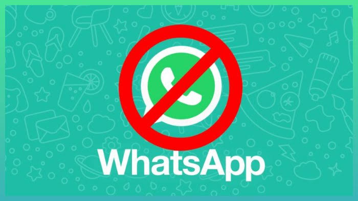 Tak Harus Matikan Data Total, Berikut Ini Cara Mudah Matikan Data Hanya untuk WhatsApp 