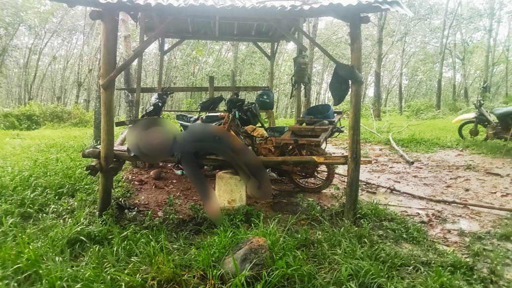 Petir Sambar Penyadap Karet di Seluma, Satu Tewas Dua Luka