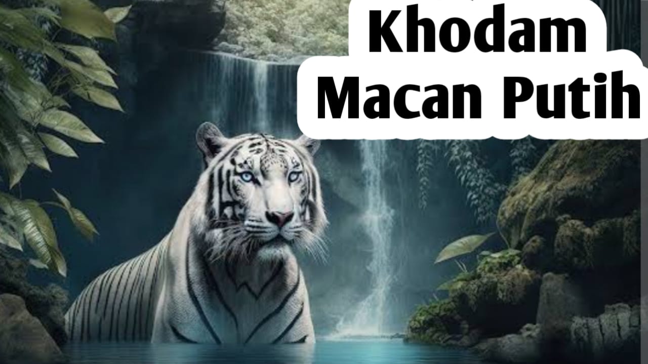 Sifat Manusia yang Disukai Khodam Macan Putih