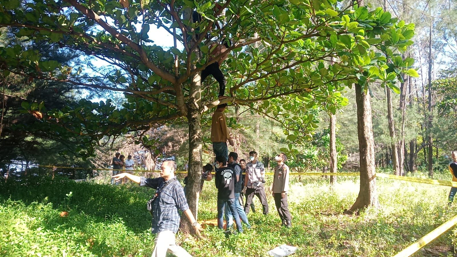 Pemuda Tewas Tergantung di Pohon, Diduga Bunuh Diri