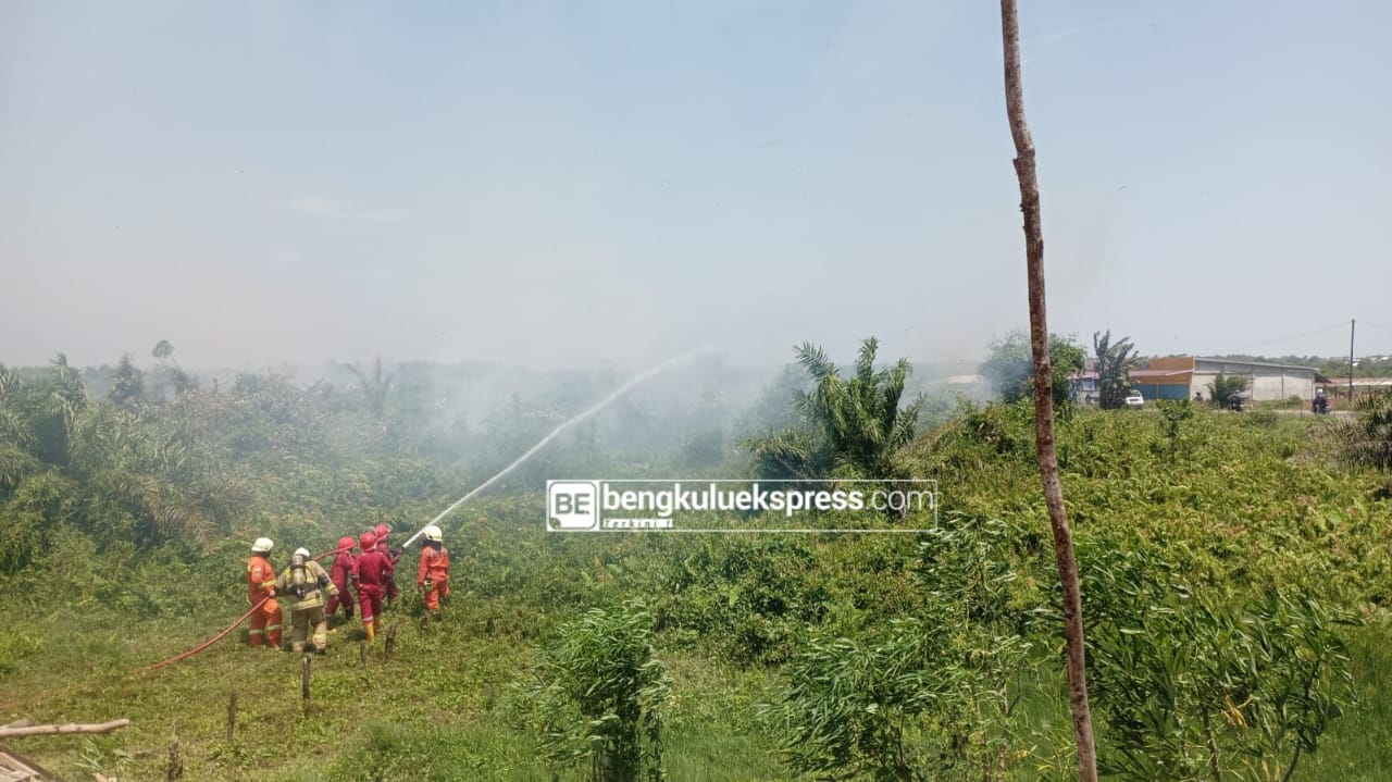 Lahan di Kelurahan Surabaya Kota Bengkulu Terbakar, Puluhan Kepala Keluarga Terdampak 