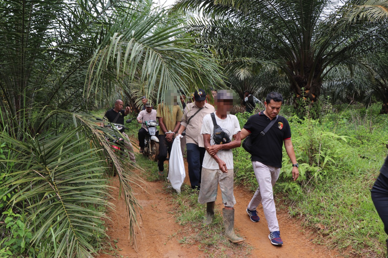 3 Orang Warga Ditetapkan Sebagai Tersangka Perambah Hutan TWA Seblat Bengkulu 