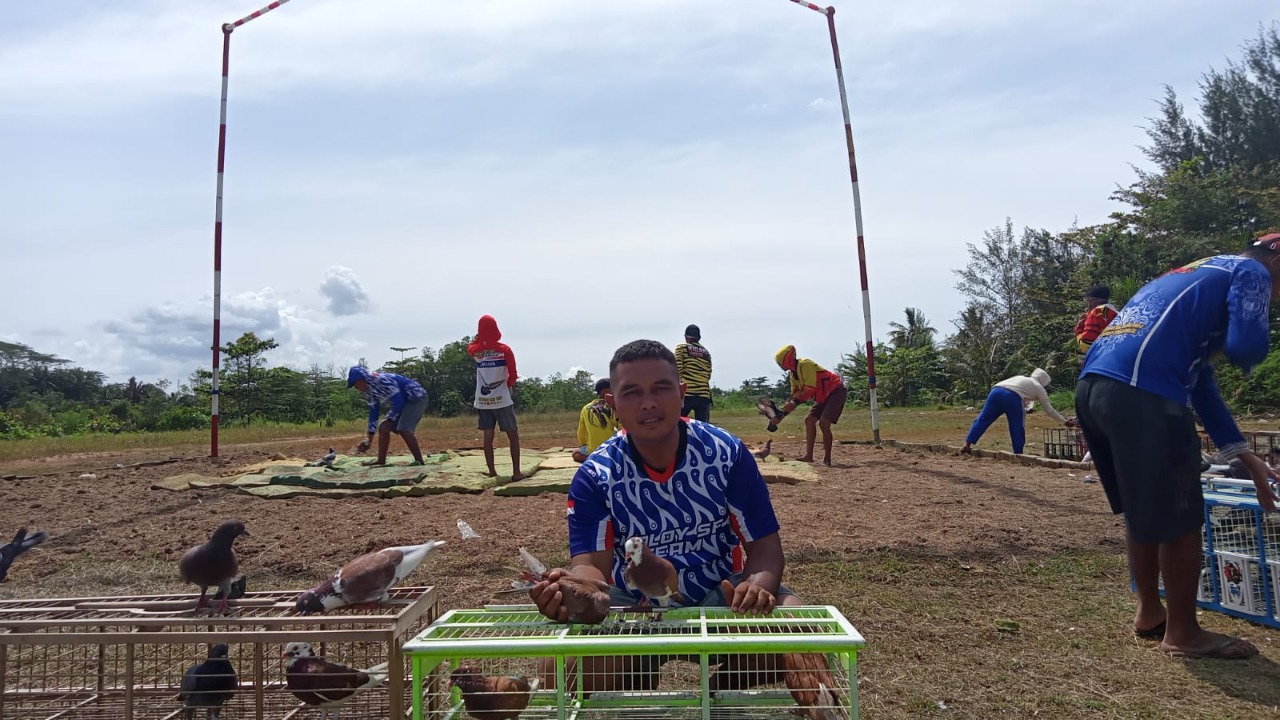 Mengenal Komunitas Merpati Kolongan Bengkulu