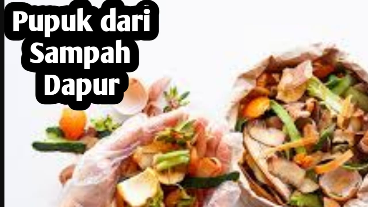 10 Sampah Dapur Ini Bisa Menyuburkan Tanaman