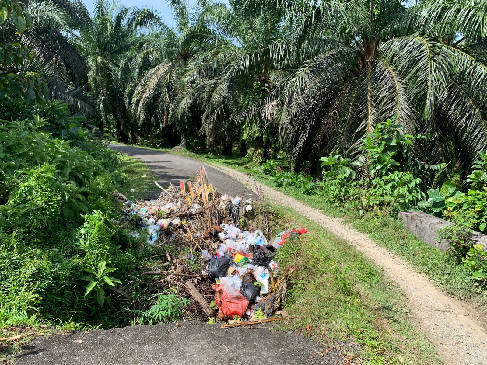 Jalan Berlubang di Pino Raya Bengkulu Selatan Malah Jadi Tempat Sampah