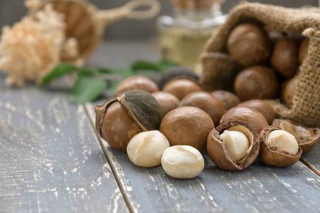 Suka Makan Kacang Macadamia? Ini Manfaatnya bagi Kesehatan