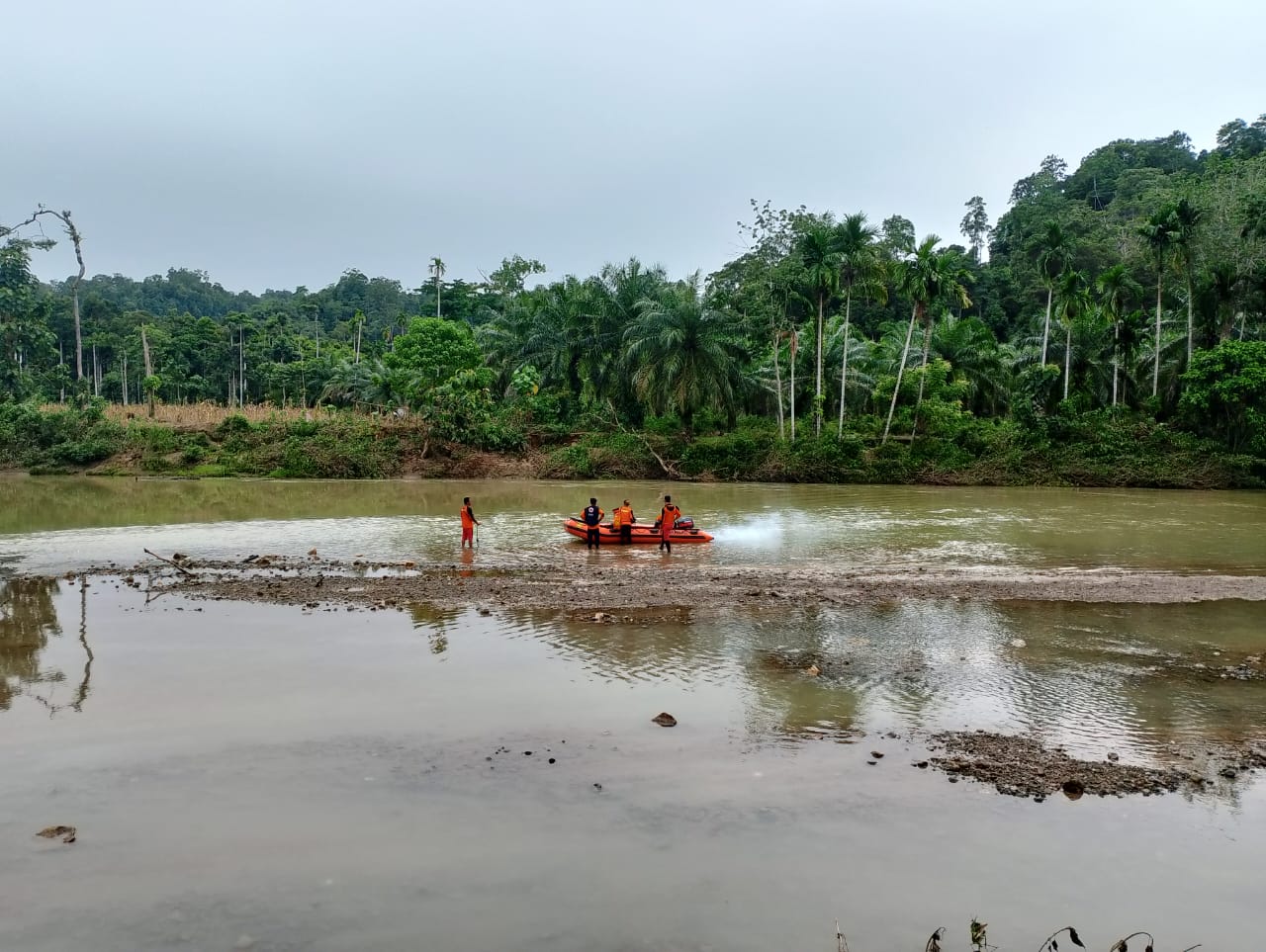 Petani di Kaur yang Hanyut di Sungai Sambat Ditemukan Meninggal, Terjepit di Akar Pohon