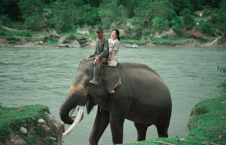 Taman Konservasi Gajah Sumatera Langka di Seblat, Bengkulu Utara, Pilihan Wisata Edukasi