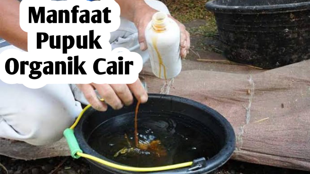 Manfaat Pupuk Organik Cair, Simak Selengkapnya