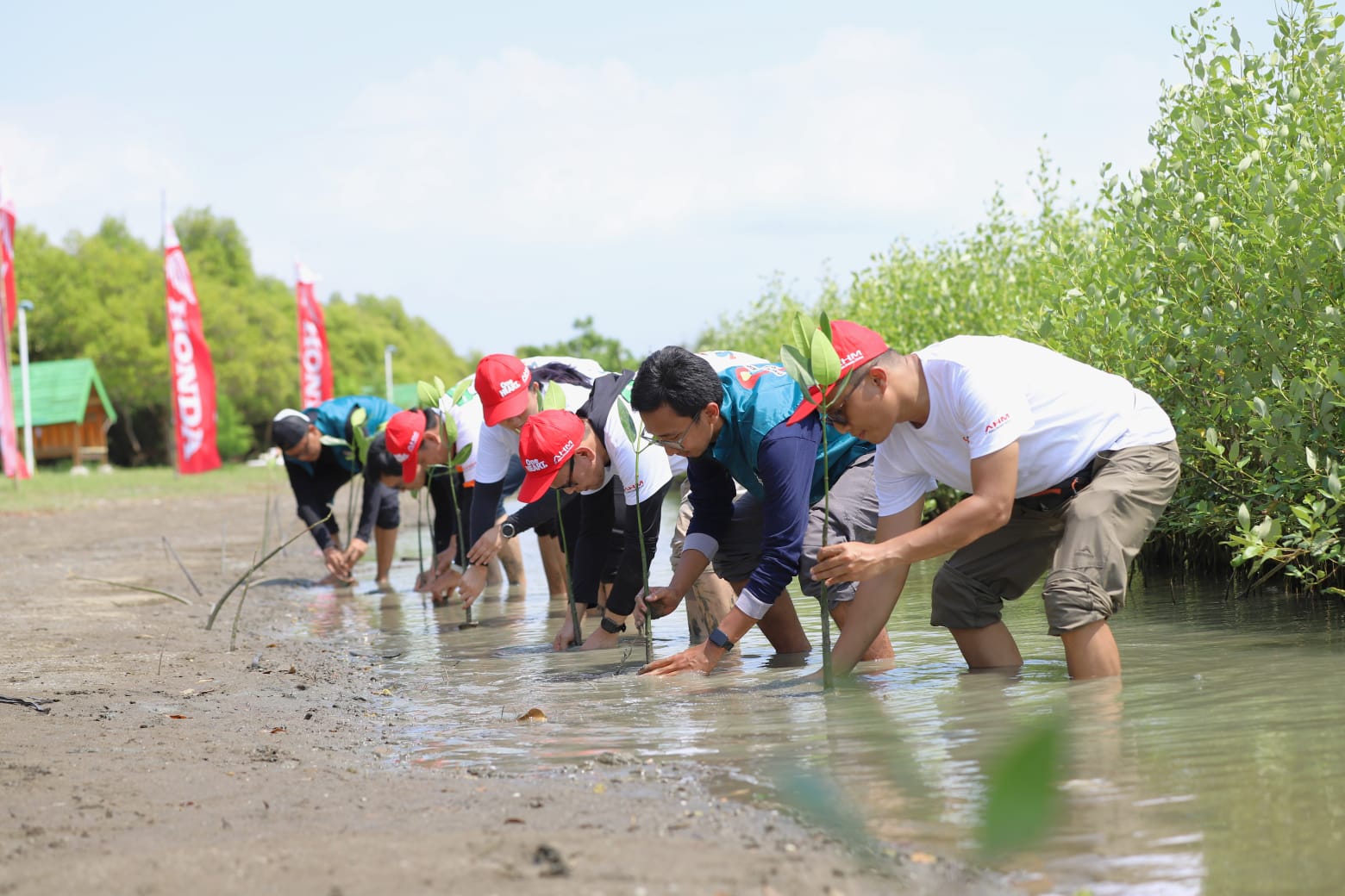 Peringati Hari Mangrove Sedunia, AHM Tanam 12.000 Pohon di Pesisir Karawang