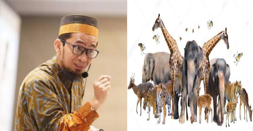 Saat Manusia Ditempatkan di Surga atau Neraka, Lalu Kemana Hewan? Ini Kata Ustaz Adi Hidayat