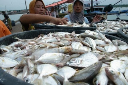 Angka Pengangguran di Provinsi Bengkulu Alami Penurunan, Ini Indikatornya