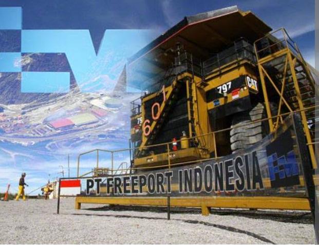 PT Freeport Buka Lowongan Kerja, Pendaftaran Ditutup 15 Desember