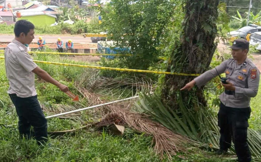 Egrek Sentuh Kabel PLN, Pemuda di Seluma Meninggal di TKP