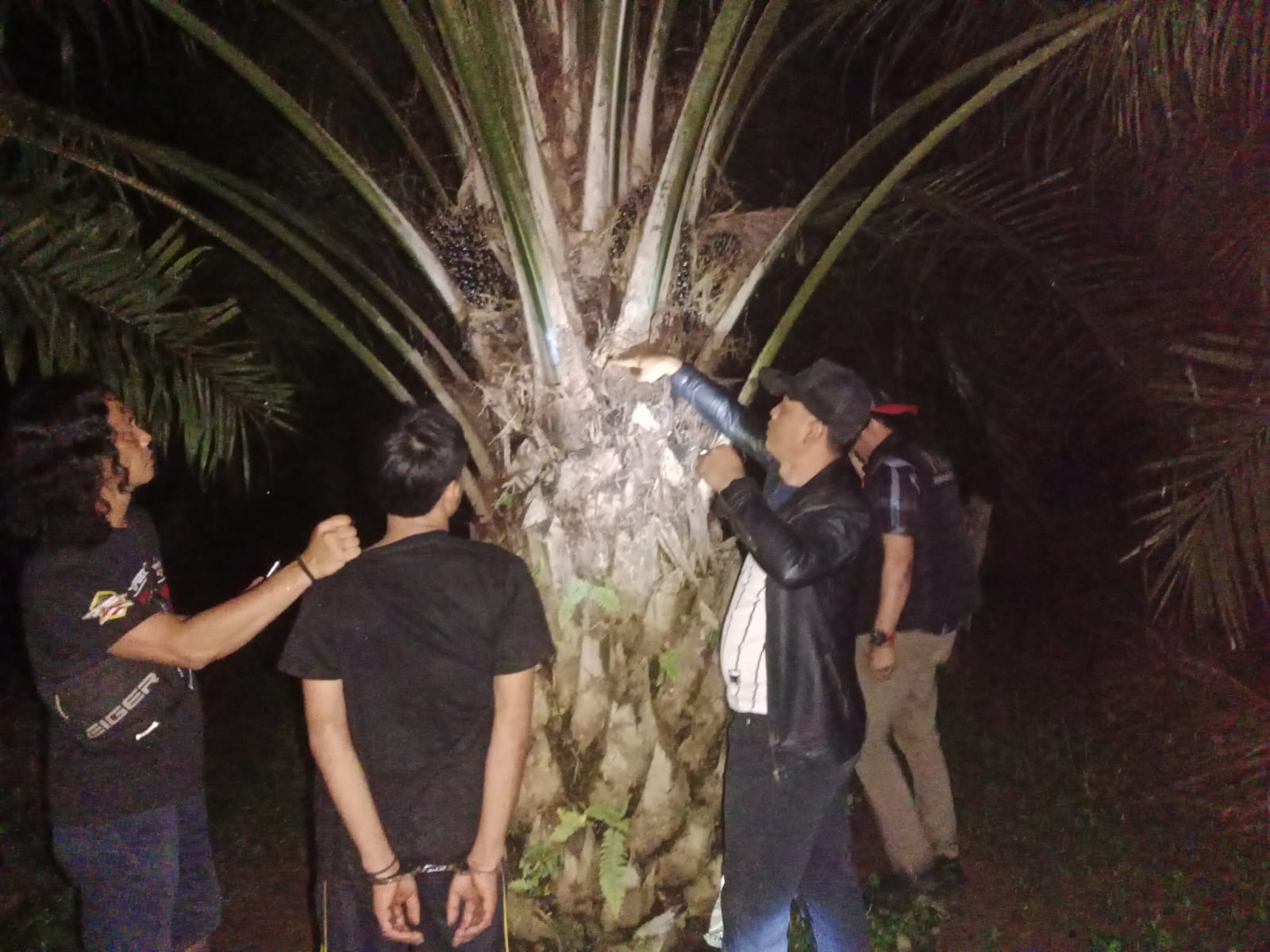 Gerak Cepat Polsek Kedurang Ilir, 3 Pencuri Sawit di Pagar Banyu Diringkus Bersama Mobil Carry