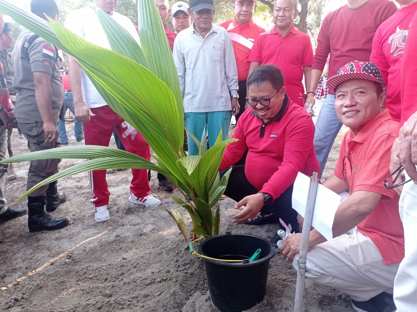 Dikomandoi Dinas Pariwisata, Pemkot Bengkulu Tanam Ribuan Pohon Kelapa di Pantai