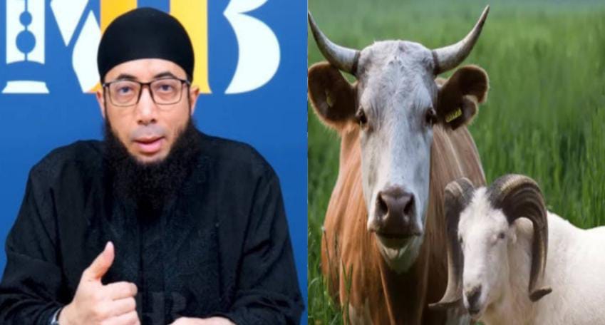 Mana yang Afdol, Kurban Sapi Atau Kambing? Berikut Jawaban Ustaz Khalid Basalamah