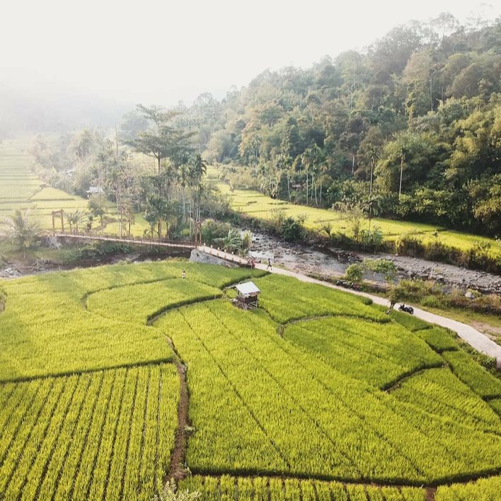 Mengisi Liburan Akhir Tahun Dengan Berkunjung ke Desa Wisata Rindu Hati di Bengkulu Tengah 
