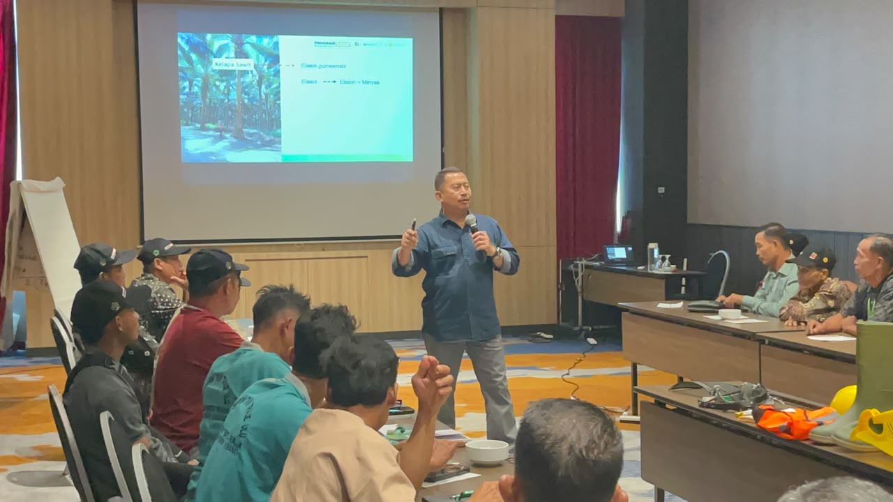AKPY-BPDP-Ditjenbun Dorong Produktivitas Sawit Bengkulu di Tengah Luas Kebun 400.000 Hektare