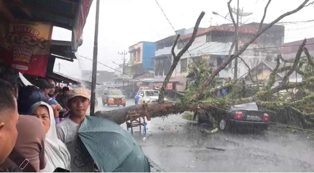 Pohon Tumbang Timpa Mobil di Pasar Atas Curup
