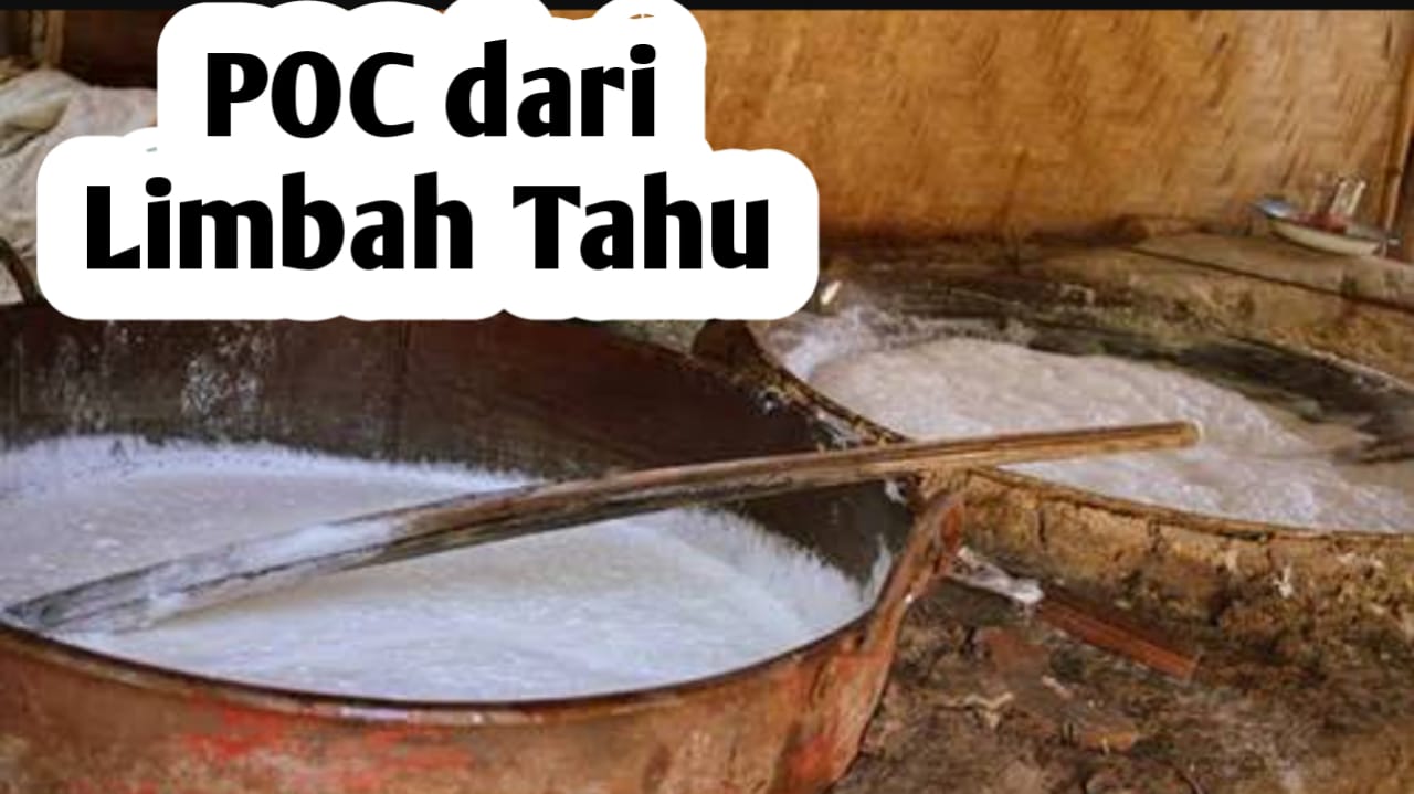 Cara Membuat Pupuk Cair dari Limbah Tahu