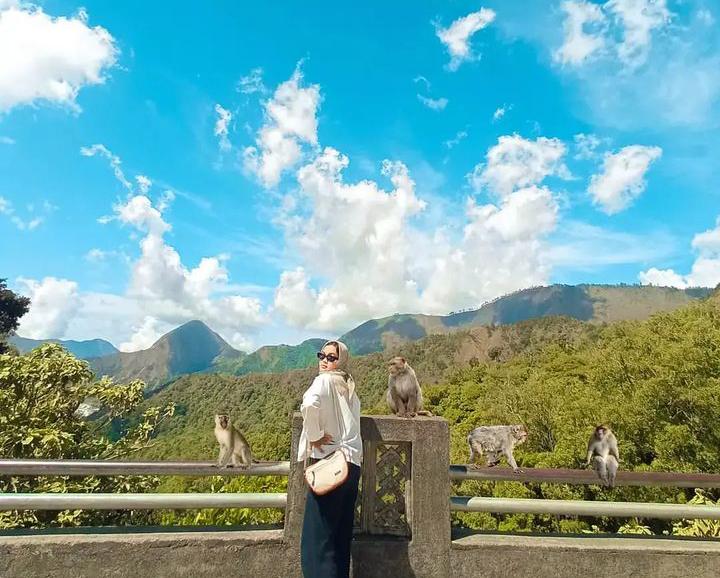 Bercengkrama dengan Monyet Seraya Menikmati Keindahan Gunung Rinjani di Taman Wisata Pusuk Sembalun
