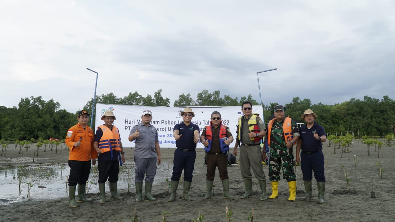 Wujud Komitmen Kontribusi Dalam Pelestarian Lingkungan, PLN UID S2JB Tanam 30 Ribu Bibit Mangrove