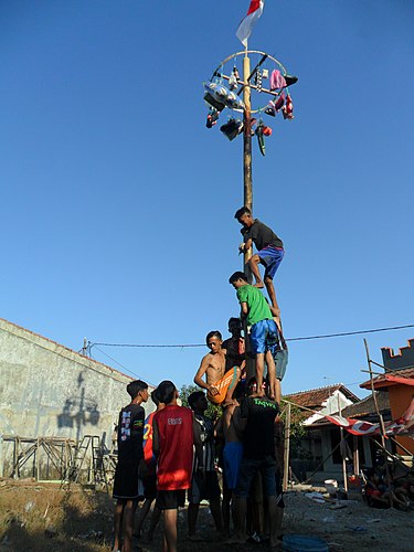 Ini Dia  Bahaya Lomba Panjat Pinang yang Perlu Diketahui